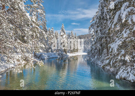 Dobbiaco/Toblach, province of Bolzano, South Tyrol, Italy. Winter at the Lake Dobbiaco Stock Photo