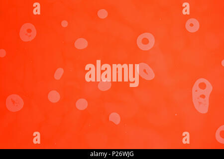 abstract red texture with bubbles Stock Photo