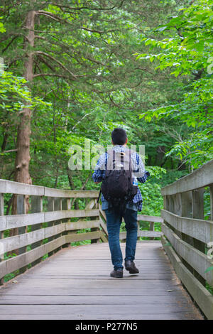 walking in a forest at starved rock illinois Stock Photo