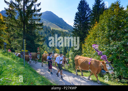 Schönau am Königssee, Almabtrieb, ceremonial driving down of cattle from the mountain pastures into the valley in autumn, decorated cow cows, leather trousers, Dirndl, mountain Jenner, Oberbayern, Berchtesgadener Land, Upper Bavaria, Bavaria, Germany Stock Photo