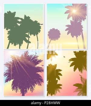 beach and coconut tree background summer time Template