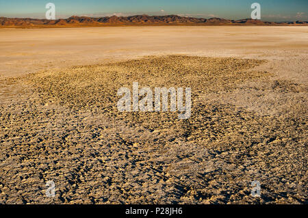 Salt deposit at Sevier Lake, dry lake in Great Basin Desert, Utah, USA Stock Photo