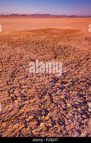 Salt deposit at Sevier Lake, dry lake, at sunset, Great Basin Desert, Utah, USA Stock Photo