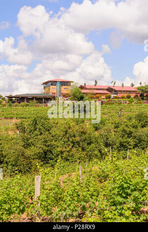 Nyaung Shwe, Red Mountain Estate, vineyard, restaurant, Inle Lake, Shan State, Myanmar (Burma) Stock Photo