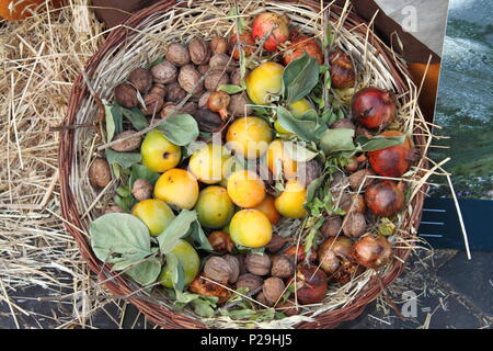 Basket with various fruits: Pomergranades, Nuts and Persimmon kaki Stock Photo