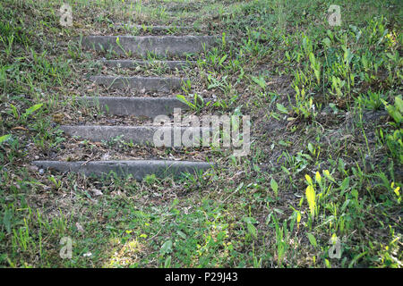 Old concrete overgrown with grass stairs at the foot of a small hill, may be used as background Stock Photo