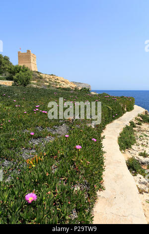 The Sciuta Tower, Wied iz-Zurrieq village, south east coast of Malta Stock Photo