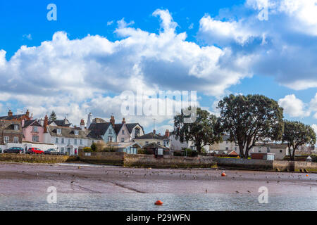 Assorted waterfowl and ducks on the mudflats of the River Exe at Topsham, Devon, England, UK Stock Photo