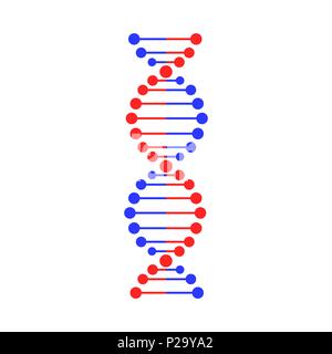 DNA strand symbol. Isolated on white background Stock Vector