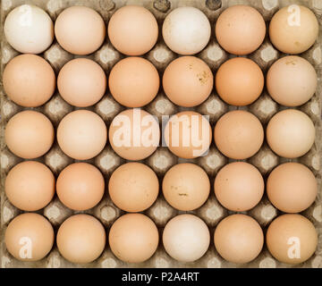 Overhead view of free range organic chicken eggs in tray. Some eggs are dirty. Stock Photo