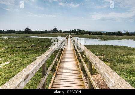 Bridge across marshes Stock Photo