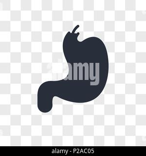 endoscopy vector icon isolated on transparent background, endoscopy logo concept Stock Vector