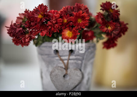 pot with hearts and beautiful flowers closeup Stock Photo