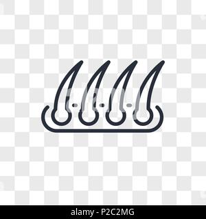 hair transplant vector icon isolated on transparent background, hair transplant logo concept Stock Vector