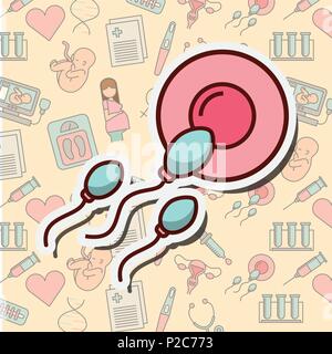 pregnancy fertilization related Stock Vector