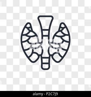 thyroid vector icon isolated on transparent background, thyroid logo concept Stock Vector