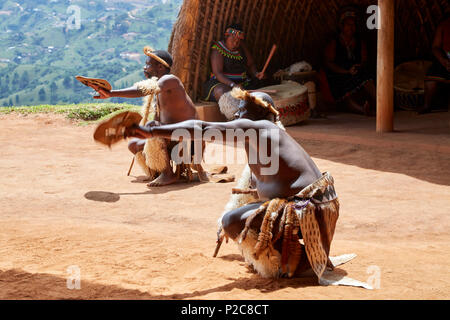 Zulu dancers performing at the PheZulu cultural village in KwaZulu-Natal Stock Photo