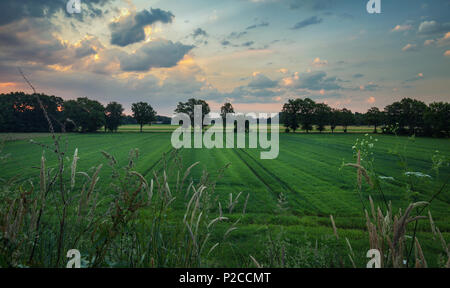 Scenic sunrise over German countryside fields Stock Photo