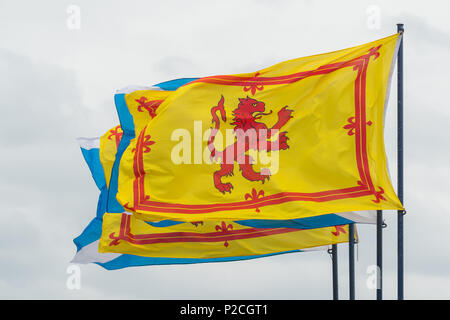 Scottish Flags - the Lion Rampant or Royal Banner of Scotland flying alongside the Scottish saltire Stock Photo