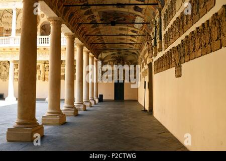 Italy, Venetia, Padova, Padua, Courtyard of Bo Palace (Palazzo del Bo), headquarters of University Stock Photo