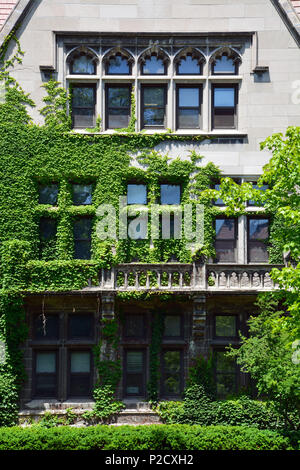 An ivy covered academic building located on one of the University of Chicago's student quadrangles. Stock Photo