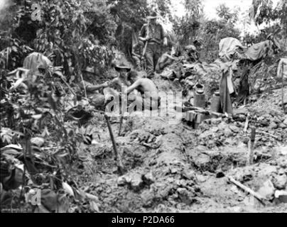 . Australian War Memorial (AWM) catalog number 089449. Members of the Australian 2/4th Cavalry Commando Squadron on Tarakan Ridge . 5 May 1945. Not recorded 14 Commandos Tarakan Ridge (089449) Stock Photo