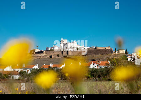 Flowery meadow in Estremoz, Alentejo, Portugal Stock Photo