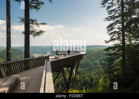 viewpoint, Buhlbachsee, near Baiersbronn, Black Forest National Park, Black Forest, Baden-Wuerttemberg, Germany Stock Photo