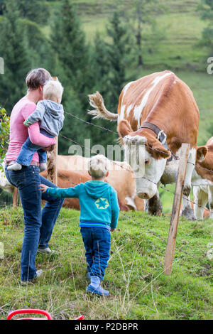 Family, mother and two children standing in front of an alpine meadow, cows with cowbell, MR, Maria Alm, Berchtesgadener Land, A Stock Photo