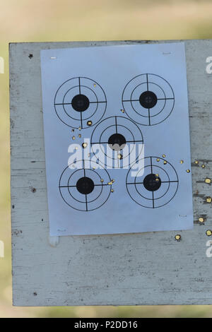 Paper target on a shooting range with bullet holes Stock Photo - Alamy