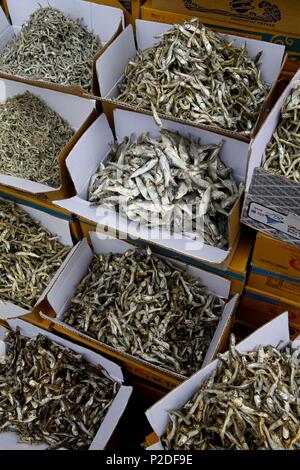 South Korea, Seoul, dried fish market Stock Photo