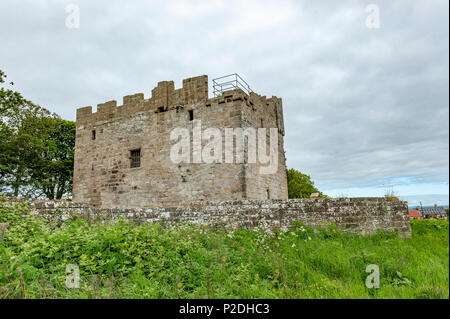 Cresswell Pele Tower, Northumberland, England Stock Photo