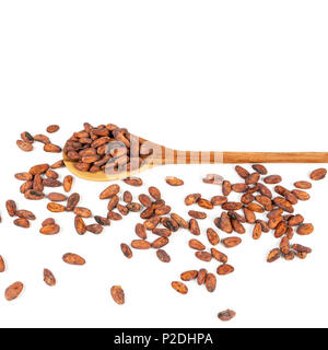 Cocoa beans in wooden spoon and on white background. Stock Photo
