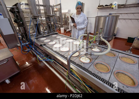 Female worker monitoring food near production line Stock Photo