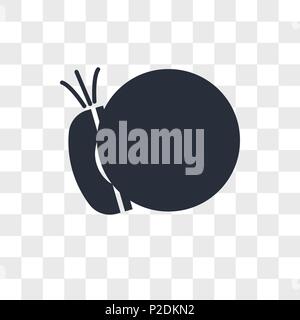Phone call vector icon isolated on transparent background, Phone call logo concept Stock Vector