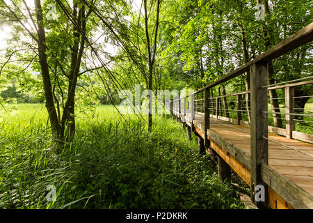 Wooden jetty and reeds, lake Idro, Baitoni, Trentino, Italy Stock Photo