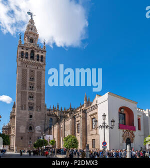 Tourists queuing outside the Giralda tower and Cathedral, Seville ( Sevilla ), Andalucia, Spain Stock Photo