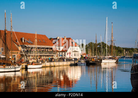 Marina with traditional sailing boats, Neustadt, Baltic Coast, Schleswig-Holstein, Germany Stock Photo