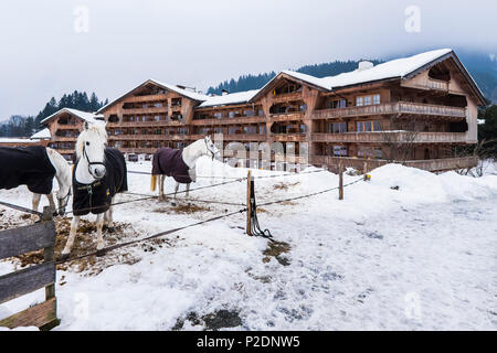 famous Hotel Stangelwirt in Going near Kitzbuehel, Tyrol, Austria, Europe Stock Photo