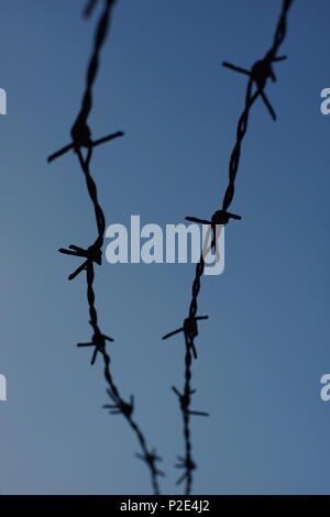 barbed wire on blue sky background Stock Photo