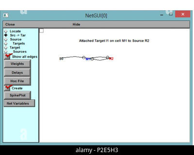. English: An image of the Network builder in Neuron, with a complete simple network. . Unknown 36 Neuron Network Builder GUI Stock Photo