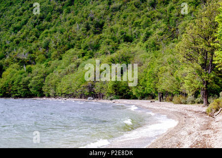 Beach and coastline of Lake Acigami in Tierra del Fuego National Park near Ushuaia. A forest borders the lake. Stock Photo