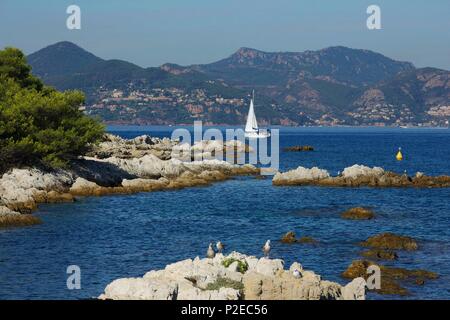 France, Alpes Maritimes, Cannes, Islands of Lerins, island Saint Honorat Rocks of the island of Sainte Honorat and sailboat passing in front of the Massif of the Estérel Stock Photo