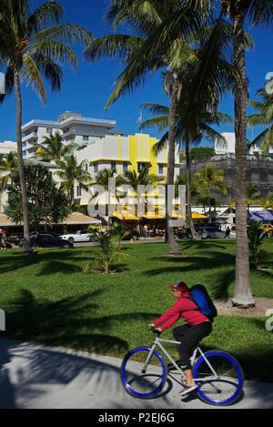 United States, Florida, Miami, Cyclist going back up the cycle track under palm trees, on Ocean Drive, on the South Beach district Stock Photo