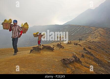 Indonesia, Java, Ijen, Sulfur carriers walking on the ridge of the Kawah Ijen crater Stock Photo