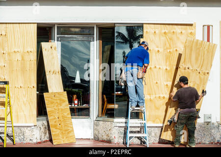 Miami Beach Florida,TGI Friday's restaurant business Hurricane Irma,plywood boarding windows workers preparation preparing man men male ladder, Stock Photo
