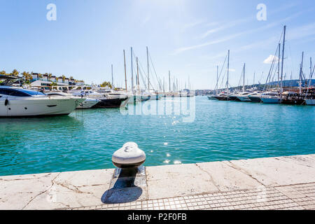 Luxury yachts at the port of Mallorca. Puerto de Palma, Port of Palma, Palma, Mallorca, Spain, Europe Stock Photo