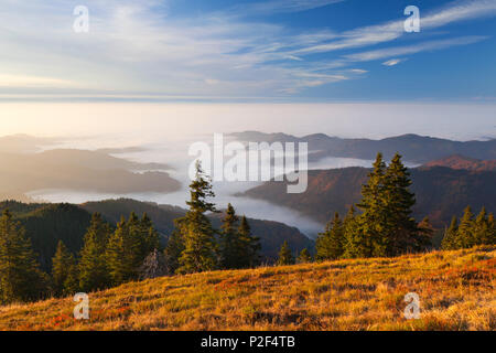 Fog over the Rhine valley, view from Belchen over Muenstertal and Rhine valley towards the Vosges, Black Forest, Baden-Wuerttemb Stock Photo