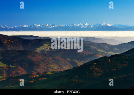 View from Belchen over the fog towards the Alps, Black Forest, Baden-Wuerttemberg, Germany Stock Photo