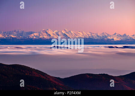 View from Belchen over the fog towards the Alps with Eiger, Moench and Jungfrau, Black Forest, Baden-Wuerttemberg, Germany Stock Photo